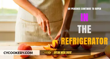Do Peaches Ripen in the Fridge? Storage Tips Revealed