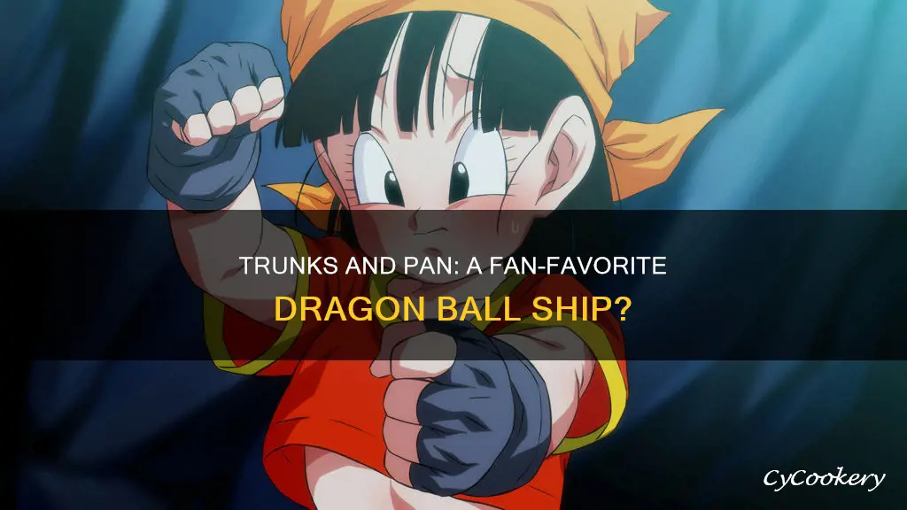 do people ship trunks x pan