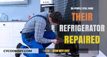Refrigerator Repairs: Are They Still a Common Household Fix?