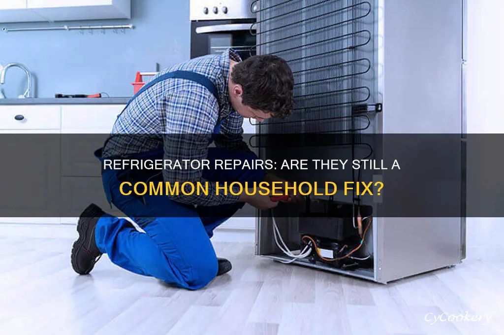 do people still have their refrigerators repaired