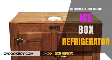Are Vintage Ice Box Refrigerators Still Cooling Homes Today?