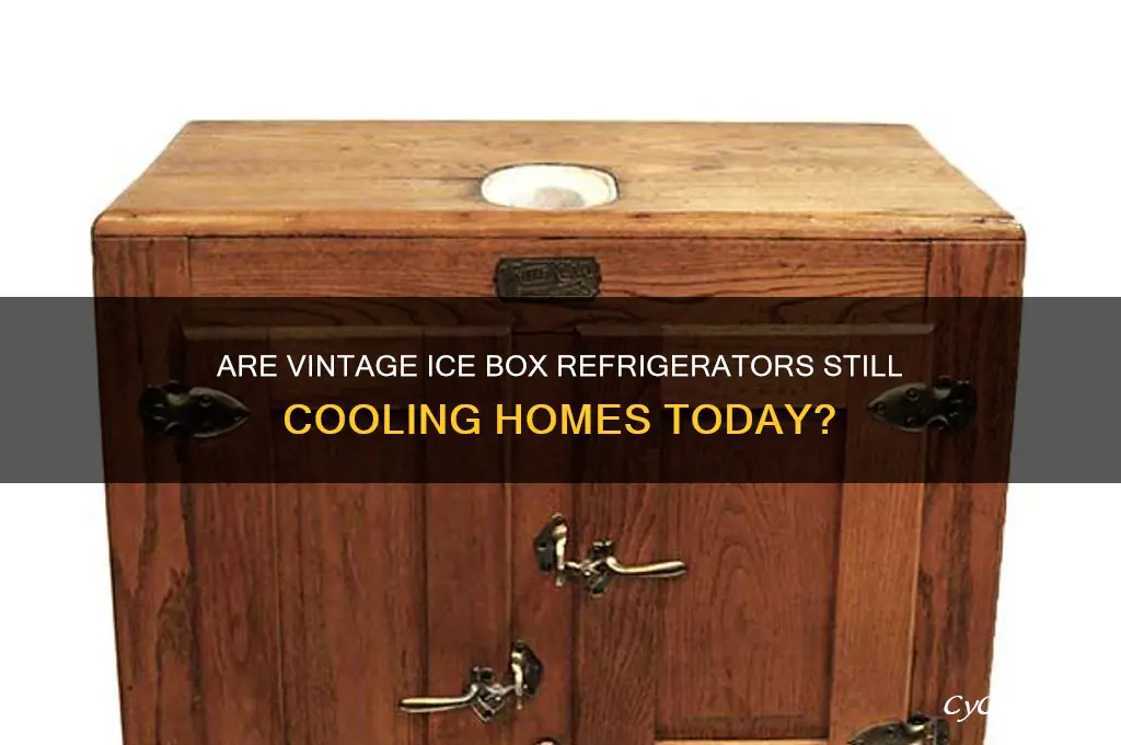 do people still use the old ice box refrigerators