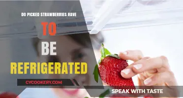 Should Freshly Picked Strawberries Be Refrigerated? Storage Tips Revealed