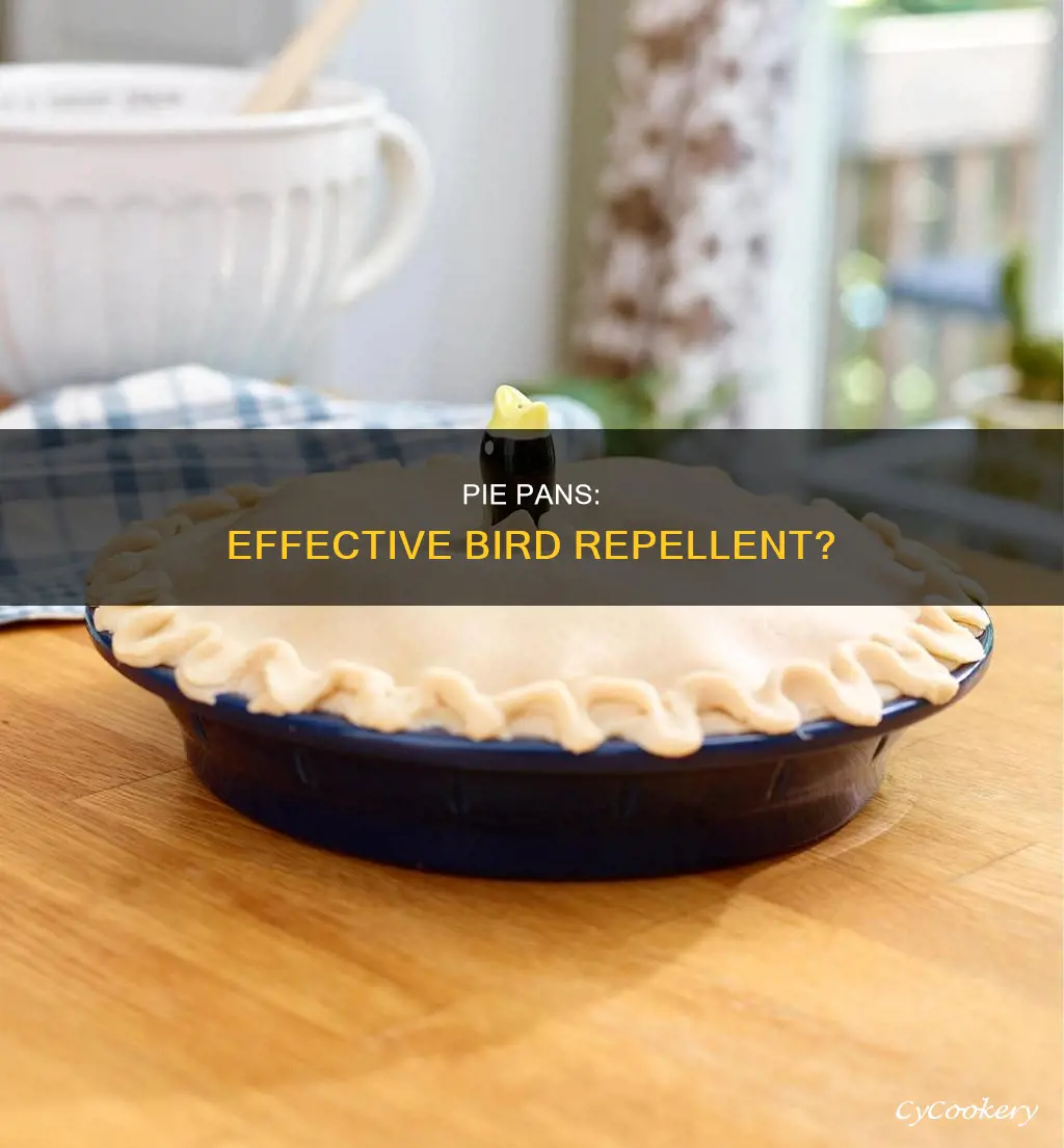 do pie pans keep birds away