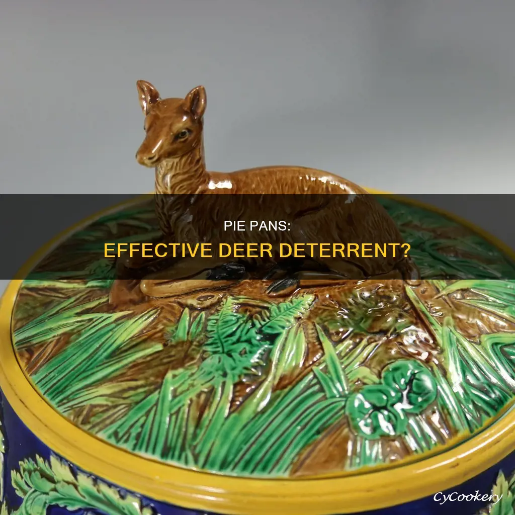 do pie pans keep deer away