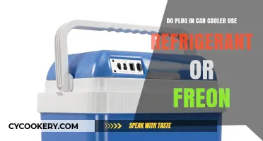 Plug-In Car Coolers: Refrigerant or Freon Usage Explained