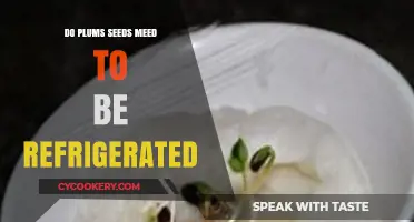 Should Plum Seeds Be Refrigerated? Storage Tips for Freshness