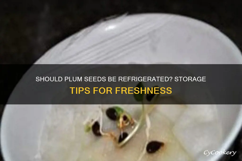 do plums seeds meed to be refrigerated