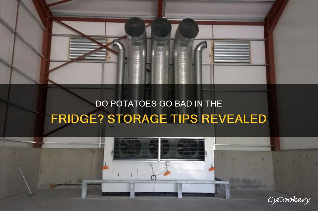 do potatoes go bad in the refrigerator