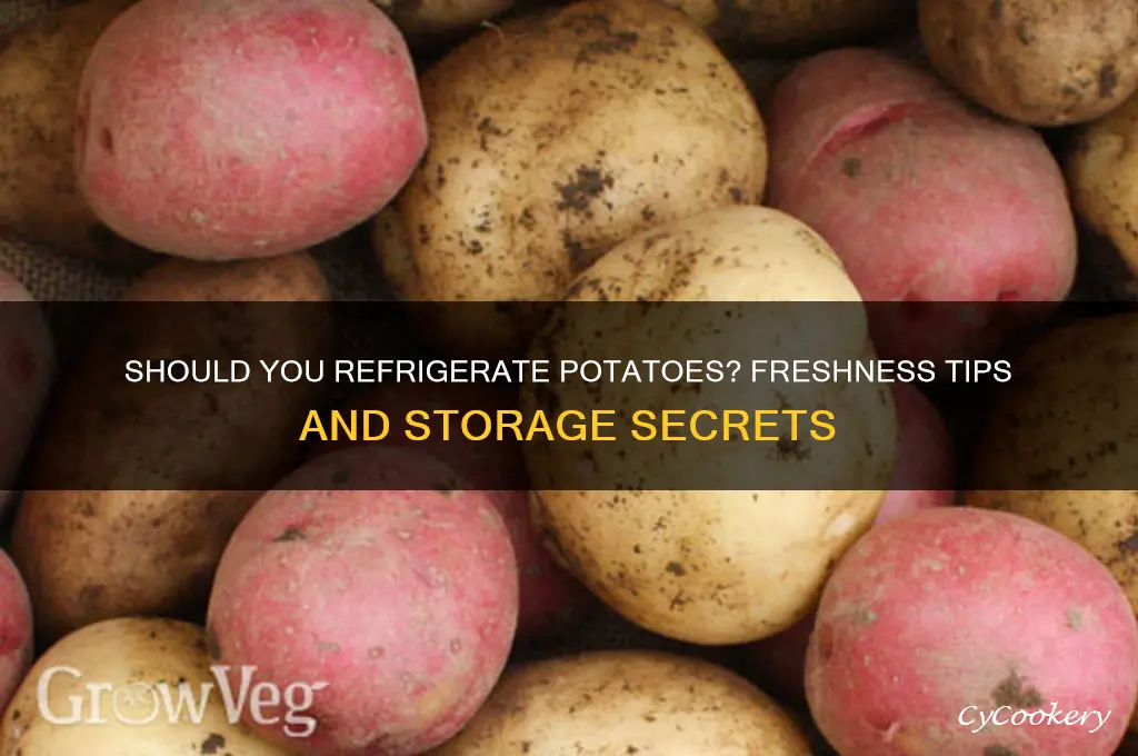 do potatoes stay fresh in the refrigerator
