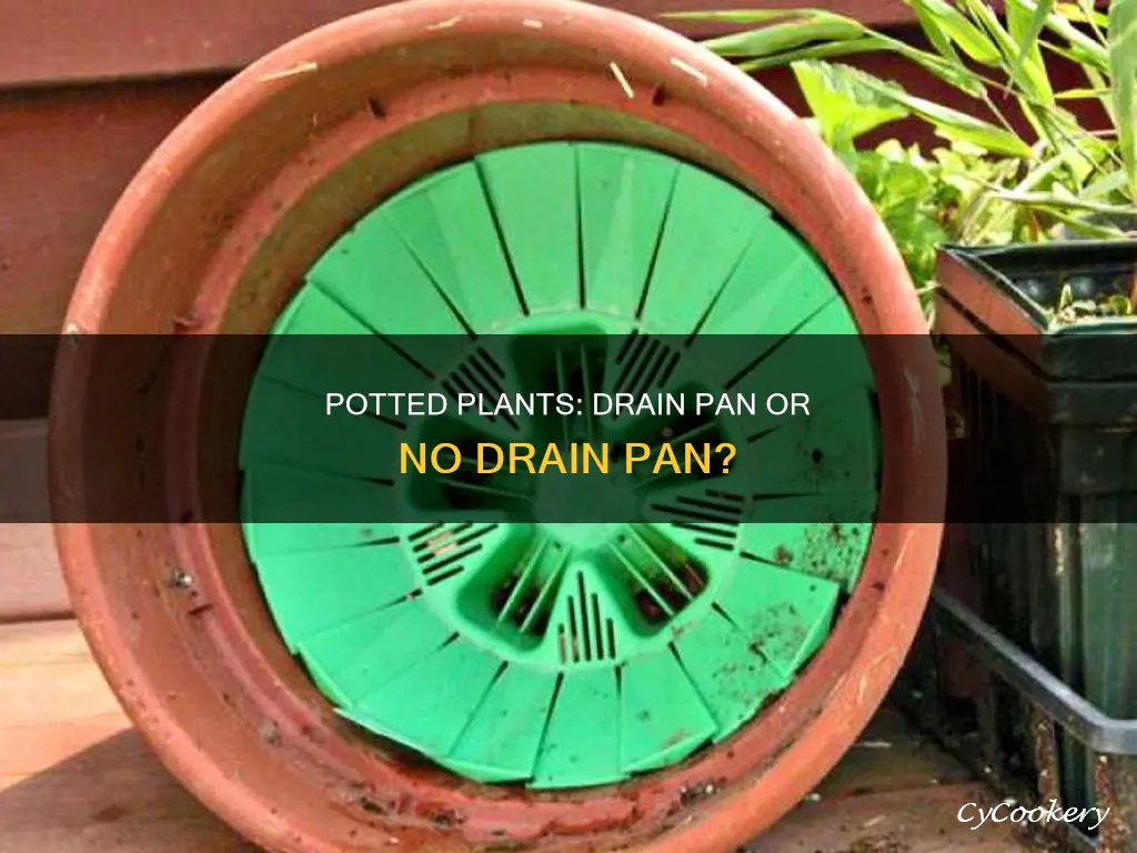 do potted plants need a drain pan