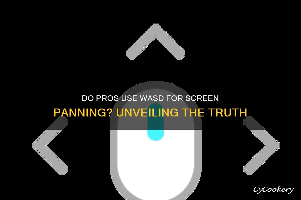 do pros use wasd to pan their screen