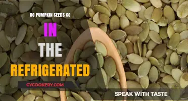 Should Pumpkin Seeds Be Refrigerated? Storage Tips for Freshness