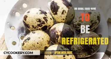 Do Quail Eggs Need Refrigeration? Storage Tips for Freshness