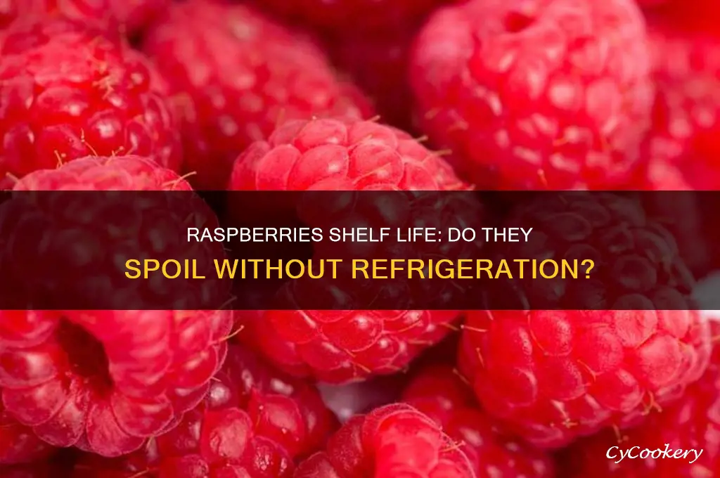 do raspberries go bad if not refrigerated