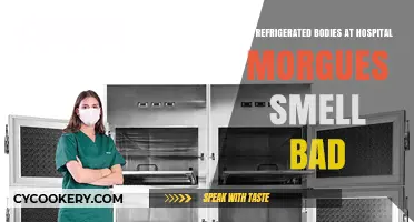 Do Refrigerated Morgue Bodies Emit Odors? Uncovering the Truth