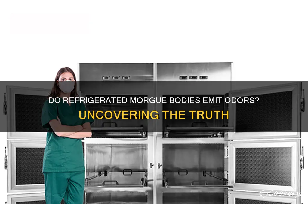 do refrigerated bodies at hospital morgues smell bad