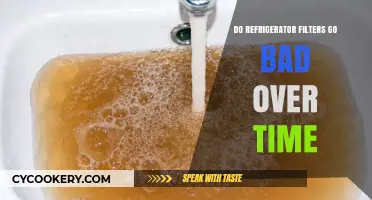 Do Refrigerator Filters Expire? Understanding Their Lifespan and Replacement Needs