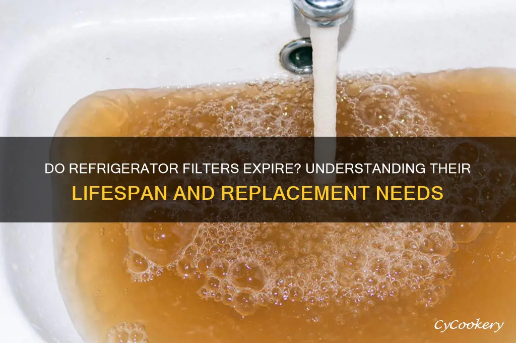 do refrigerator filters go bad over time