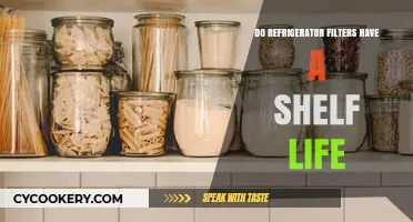 How Long Do Refrigerator Filters Last? Shelf Life Explained