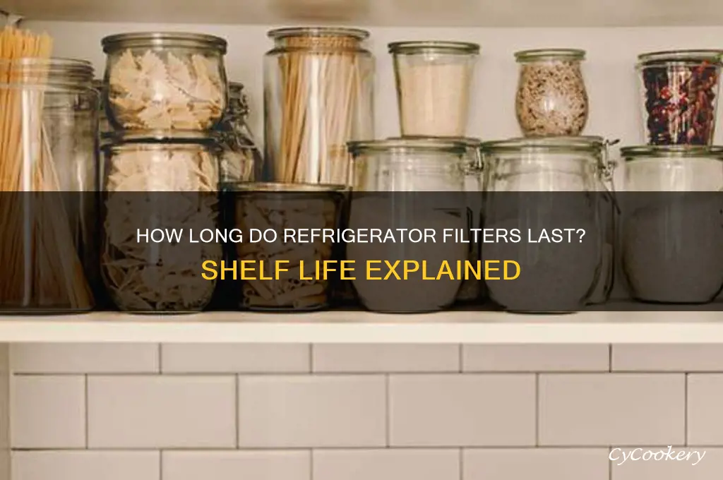 do refrigerator filters have a shelf life