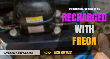 Do Refrigerators Need Freon Recharging? Understanding Your Fridge's Cooling System