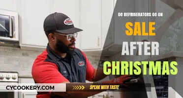 Post-Christmas Refrigerator Deals: Are Sales Worth Waiting For?