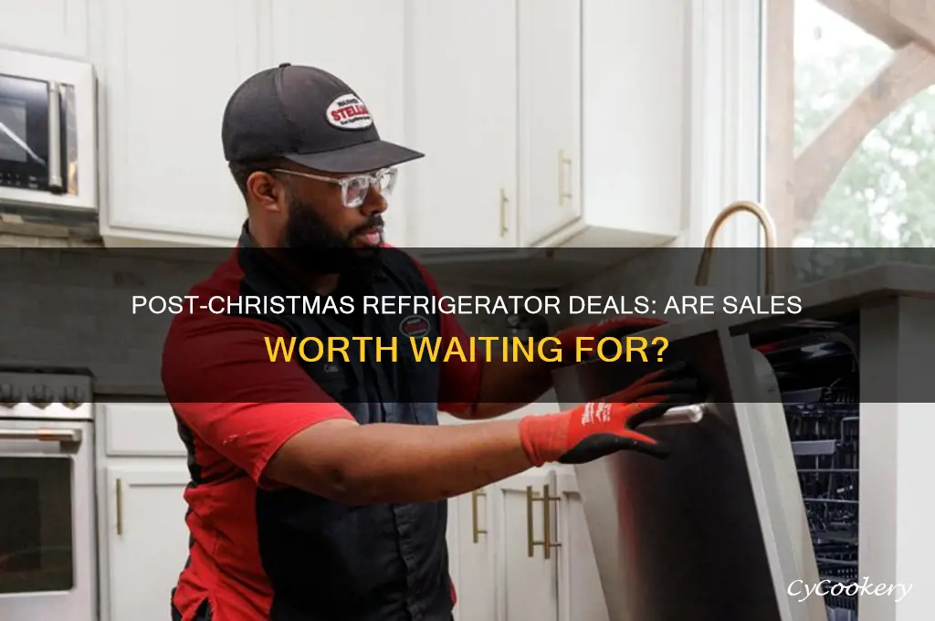 do refrigerators go on sale after christmas