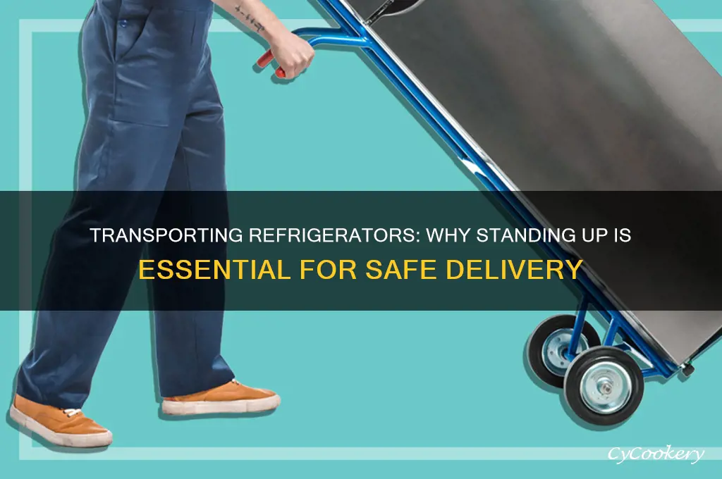 do refrigerators have to be transported standing up
