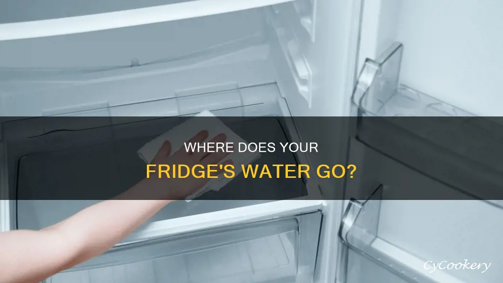 do refrigerators have water pans