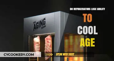 Aging Fridges: Why Older Refrigerators Struggle to Keep Food Cool