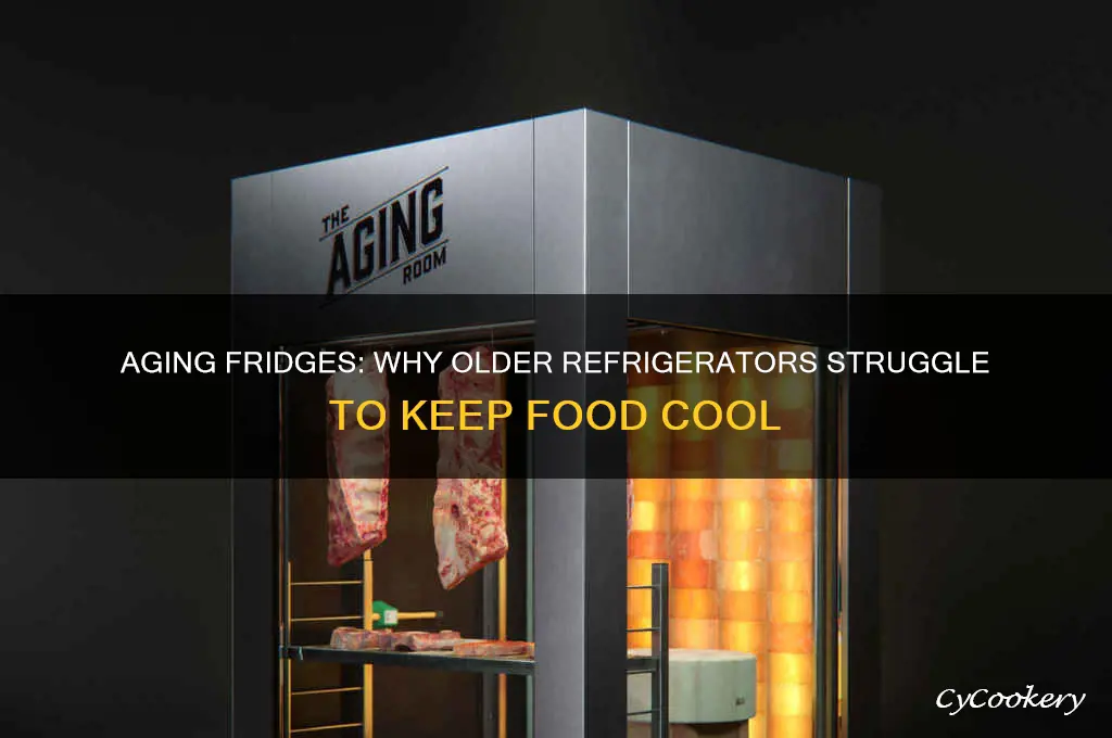do refrigerators lose ability to cool age