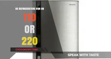 Understanding Refrigerator Voltage: 110 or 220 for Optimal Performance?