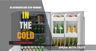 Do Refrigerators Fail in Cold Weather? Myths vs. Facts Explained