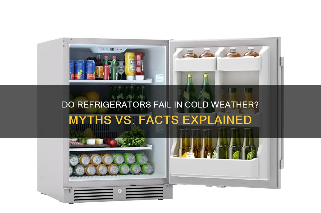 do refrigerators stop working in the cold