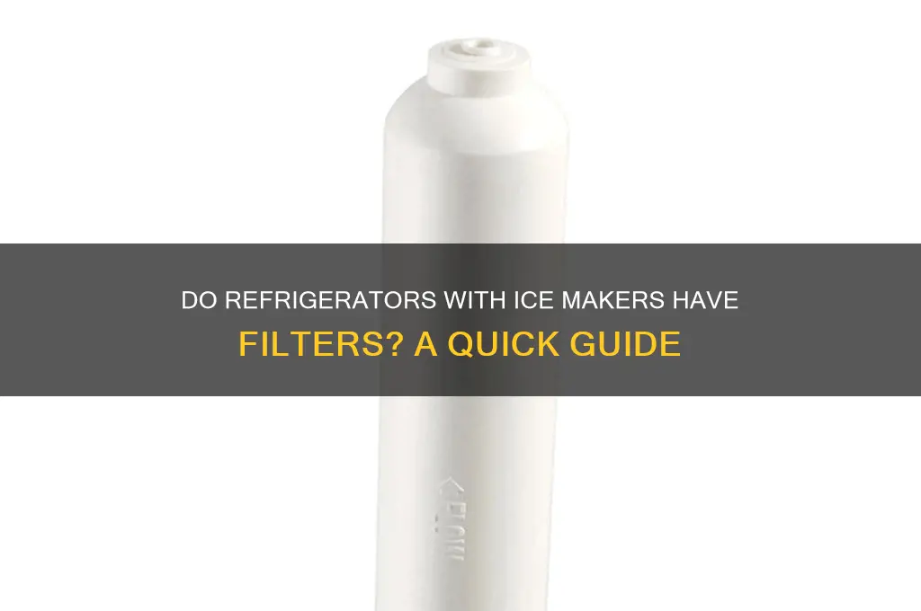 do refrigerators with ice makers have filters