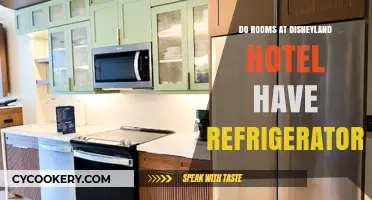 Disneyland Hotel Rooms: Refrigerators Included or Not?