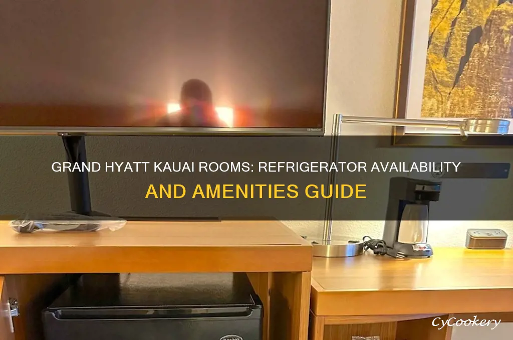 do rooms at grand hyatt kauai have refrigerators