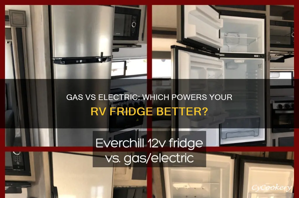 do rv refrigerators work better on gas or electric