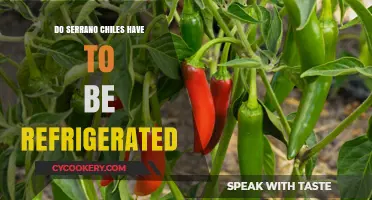 Should Serrano Chiles Be Refrigerated? Storage Tips for Freshness