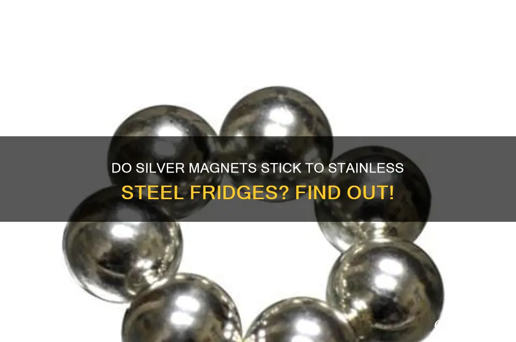 do silver refrigerator magnets stick to stainless steel