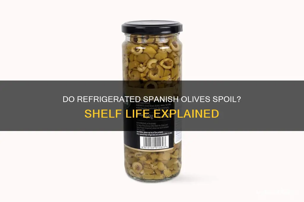 do spanish olives go bad when refrigerated