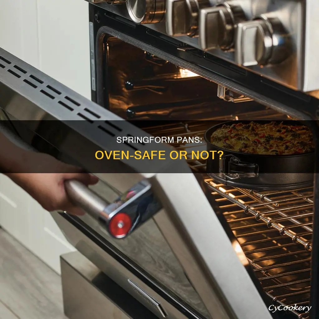 do springform pans go in oven as is