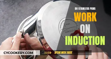 Stainless Steel Pans: Compatible with Induction Cooking?