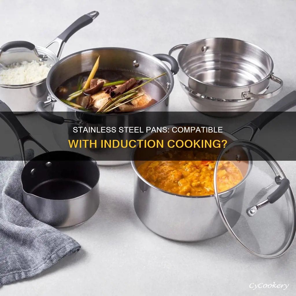 do stainless pans work on induction