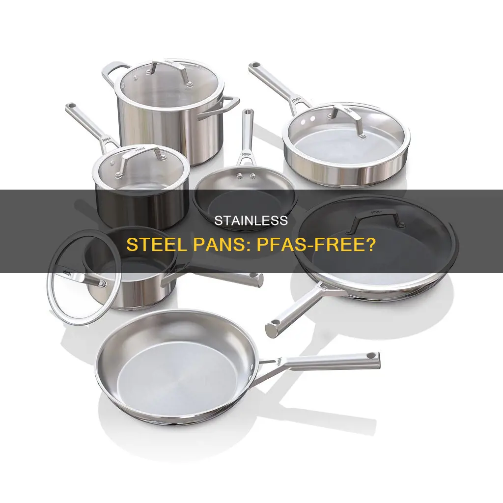 do stainless steel pans have pfas