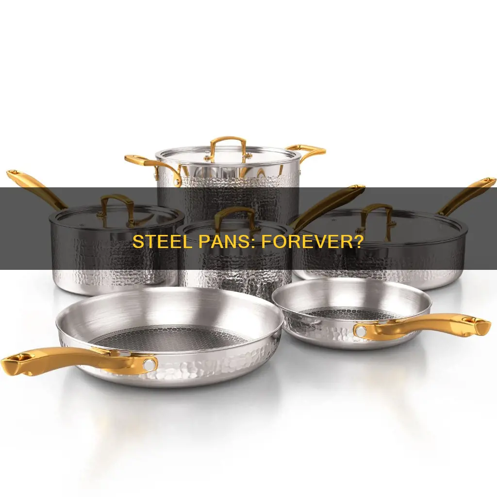 do stainless steel pans last forever