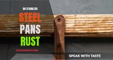 Steel Pan Rust: Myth or Reality?