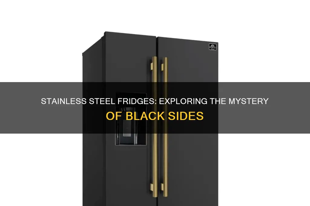 do stainless steel refrigerators have black sides