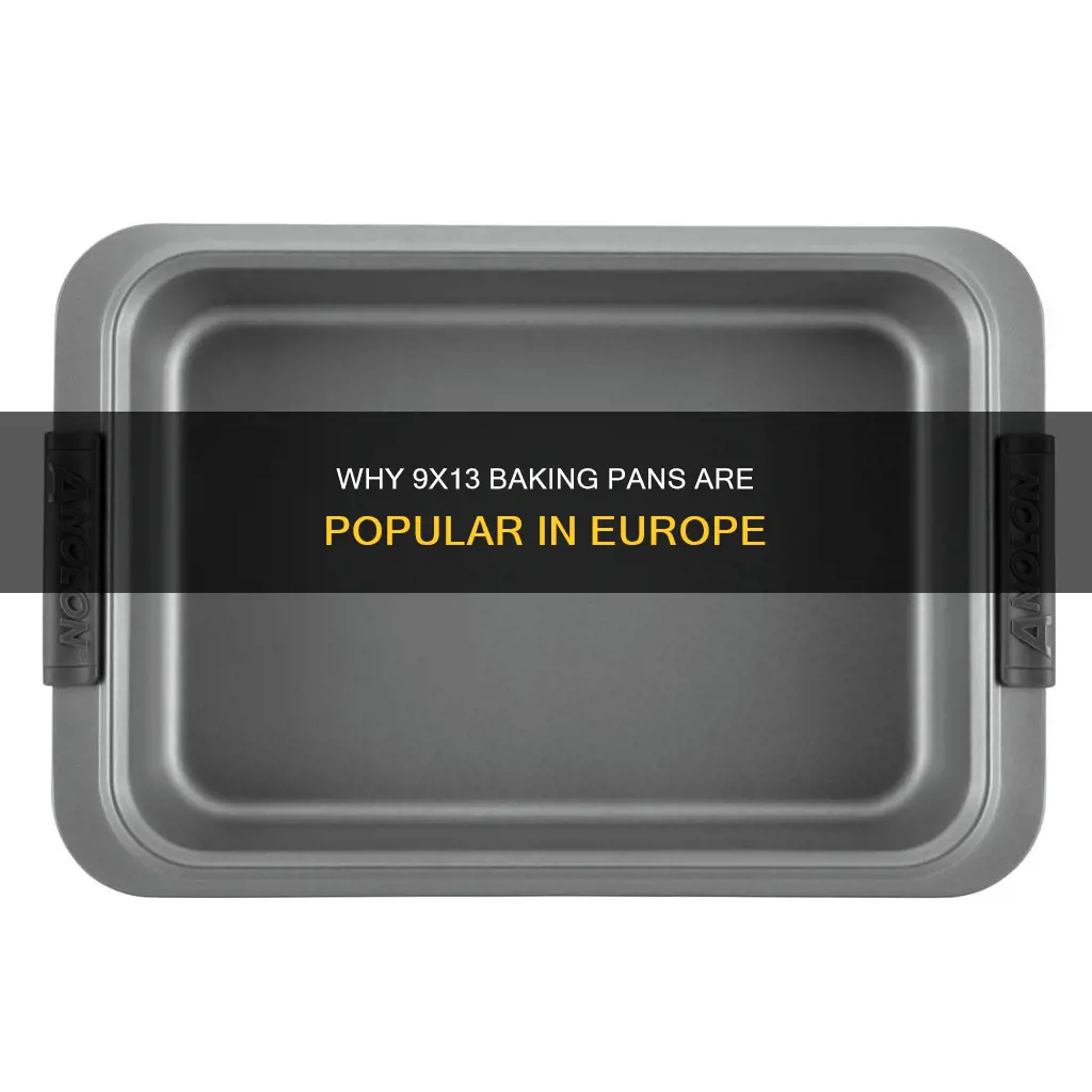 do the 9x13 pans in europe